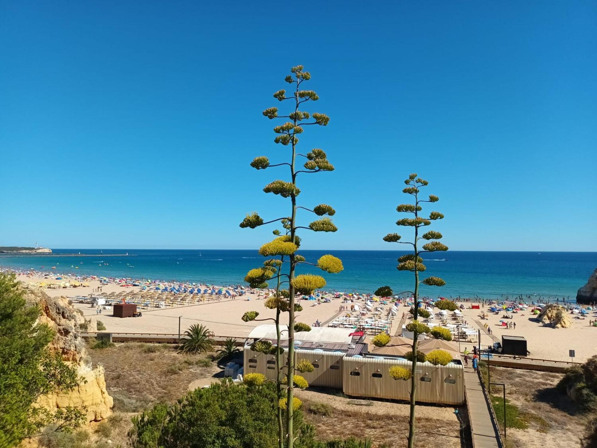 Luxury 2 Min Beach With Balcony, Ocean View, Wifi, Ac, Smarttv Portimão Esterno foto